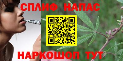 гидра Конаково