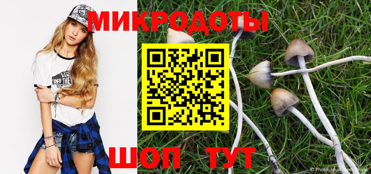 Конаково  Псилоцибиновые грибы прущие грибы  Галлюциногенные грибы Psilocybe  где можно купить наркотик  Вход с VPN 